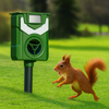 Smart Squirrel Repeller - Gets Squirrels Out Of Your Garden - HomeShielders