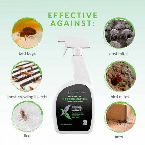 Bed Bug & Dust Mite Killer Natural Spray Treatment for Insects -  Mattresses, Covers, Carpets & Furniture - Fast Extended Protection. Pet &  Kids Safe 
