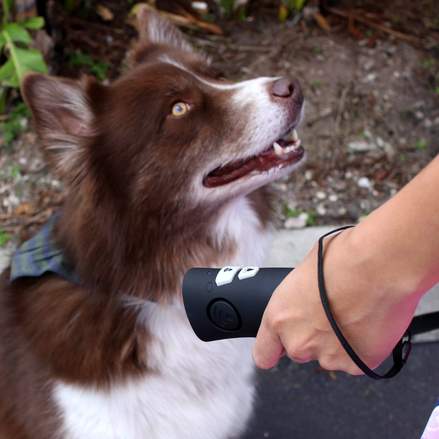 Goodlife - OnGuard™ Handheld Ultrasonic Dog Trainer - Correct And Train Up To 50 Feet Away