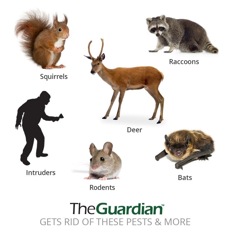 Goodlife - The Guardian™ 2 Pack - Double Your Coverage And Target More Pests - The Strongest Outdoor Pest Repellent